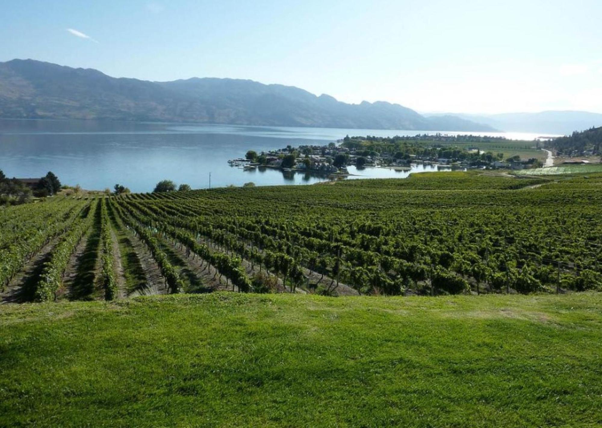 Holiday Inn Hotel & Suites Osoyoos By Ihg Bagian luar foto
